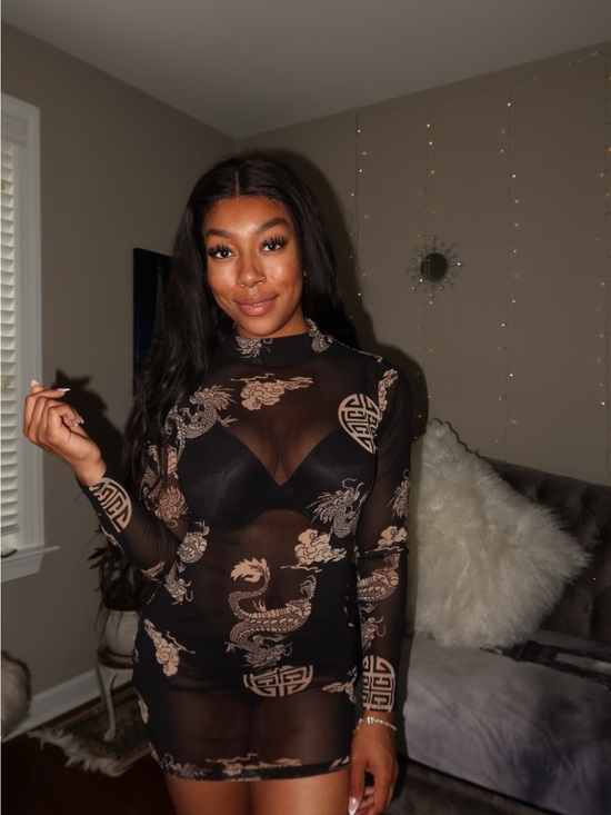 Fashion Nova Dresses & Skirts - Fashion Nova Black Sheer Dragon-Print Mini Dress with Beige Accents